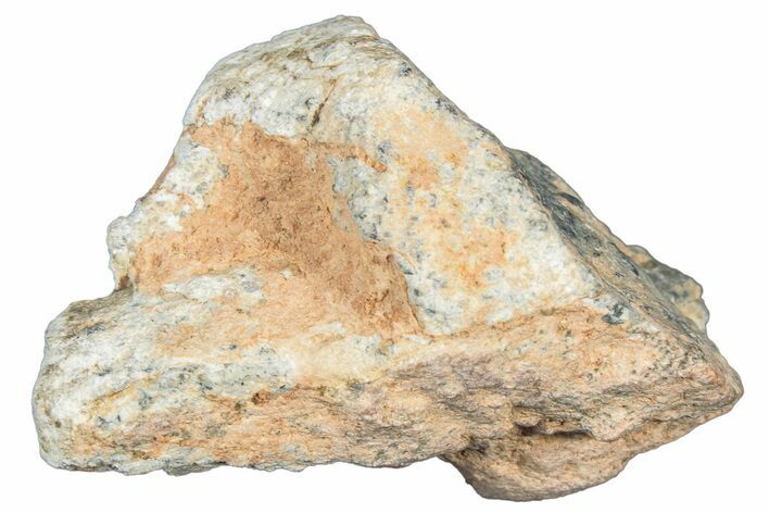 Polished Lunar Meteorite ( g) - NWA #304052